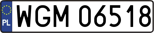 WGM06518