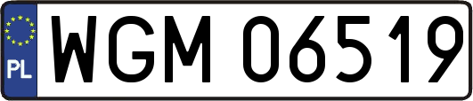 WGM06519