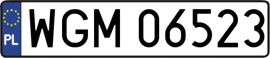 WGM06523