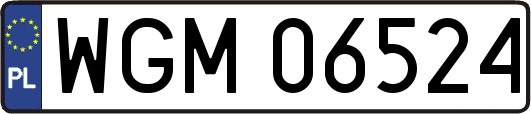WGM06524