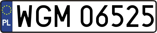 WGM06525