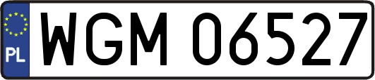 WGM06527