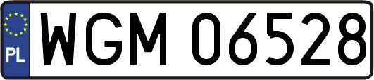 WGM06528