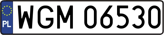 WGM06530