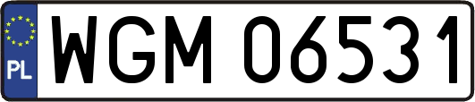 WGM06531