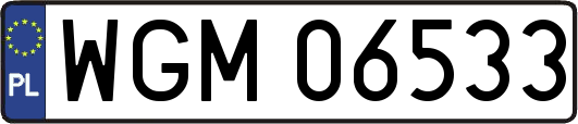 WGM06533