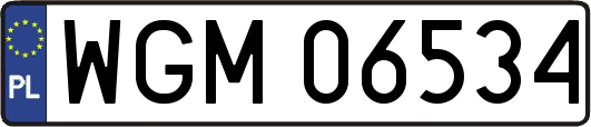WGM06534
