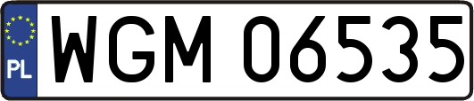 WGM06535