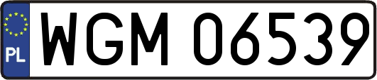 WGM06539
