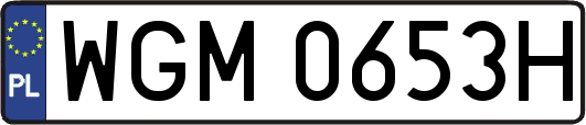 WGM0653H