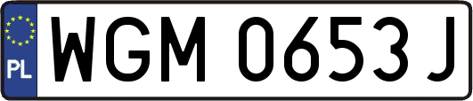 WGM0653J