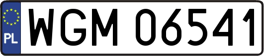 WGM06541