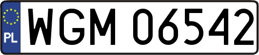 WGM06542