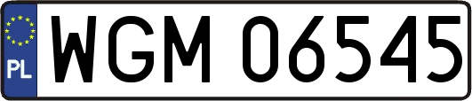 WGM06545