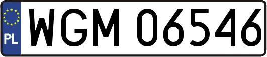 WGM06546