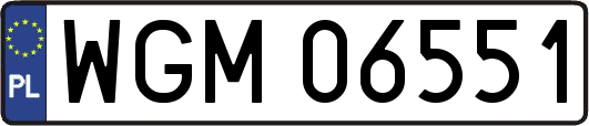 WGM06551