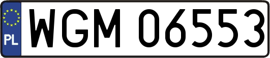 WGM06553