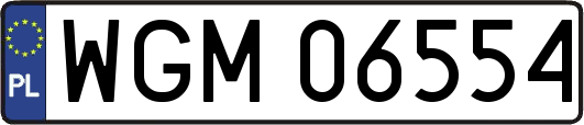WGM06554