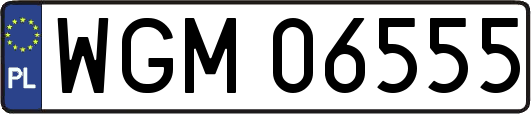 WGM06555