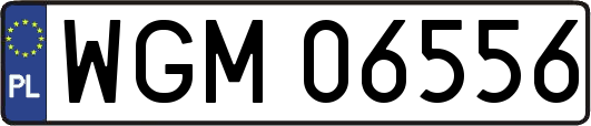 WGM06556