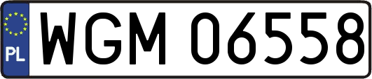 WGM06558