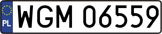 WGM06559