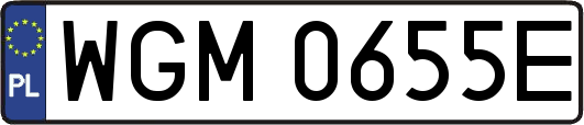 WGM0655E