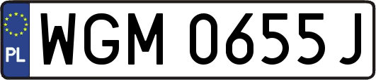 WGM0655J