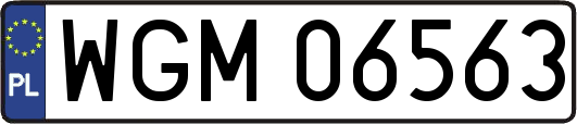 WGM06563