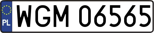 WGM06565