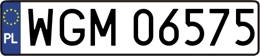 WGM06575