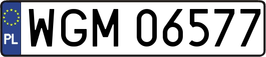WGM06577