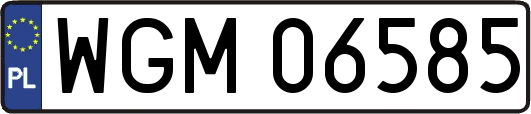 WGM06585