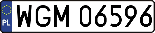 WGM06596