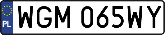 WGM065WY