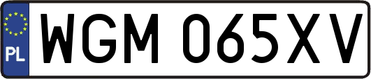 WGM065XV