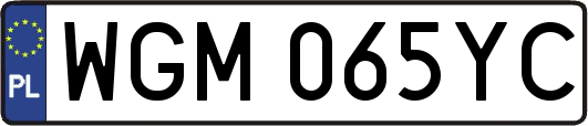 WGM065YC