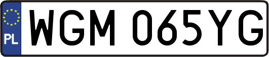 WGM065YG