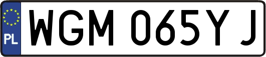 WGM065YJ