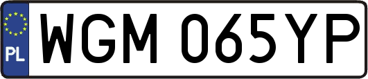WGM065YP