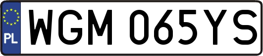WGM065YS