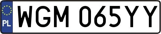 WGM065YY
