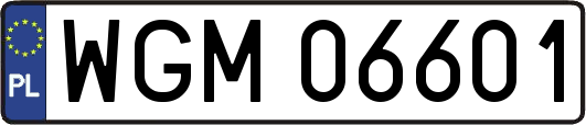 WGM06601