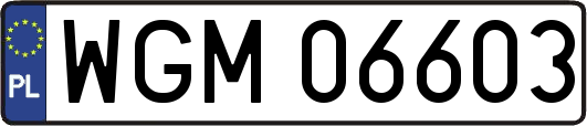 WGM06603