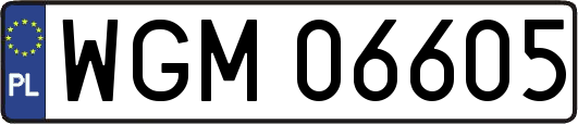 WGM06605