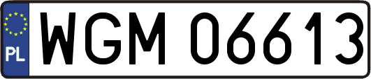 WGM06613