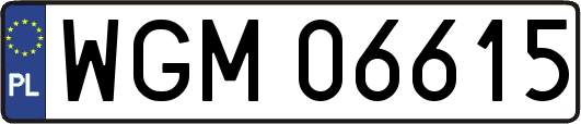 WGM06615