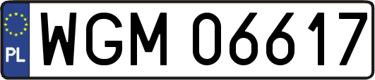 WGM06617