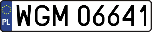 WGM06641