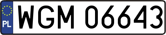 WGM06643
